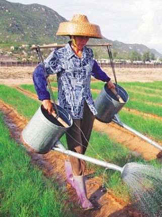 “植樹(shù)娘子軍”陶鳳交：幾十載堅(jiān)持 硬把沙漠變綠洲